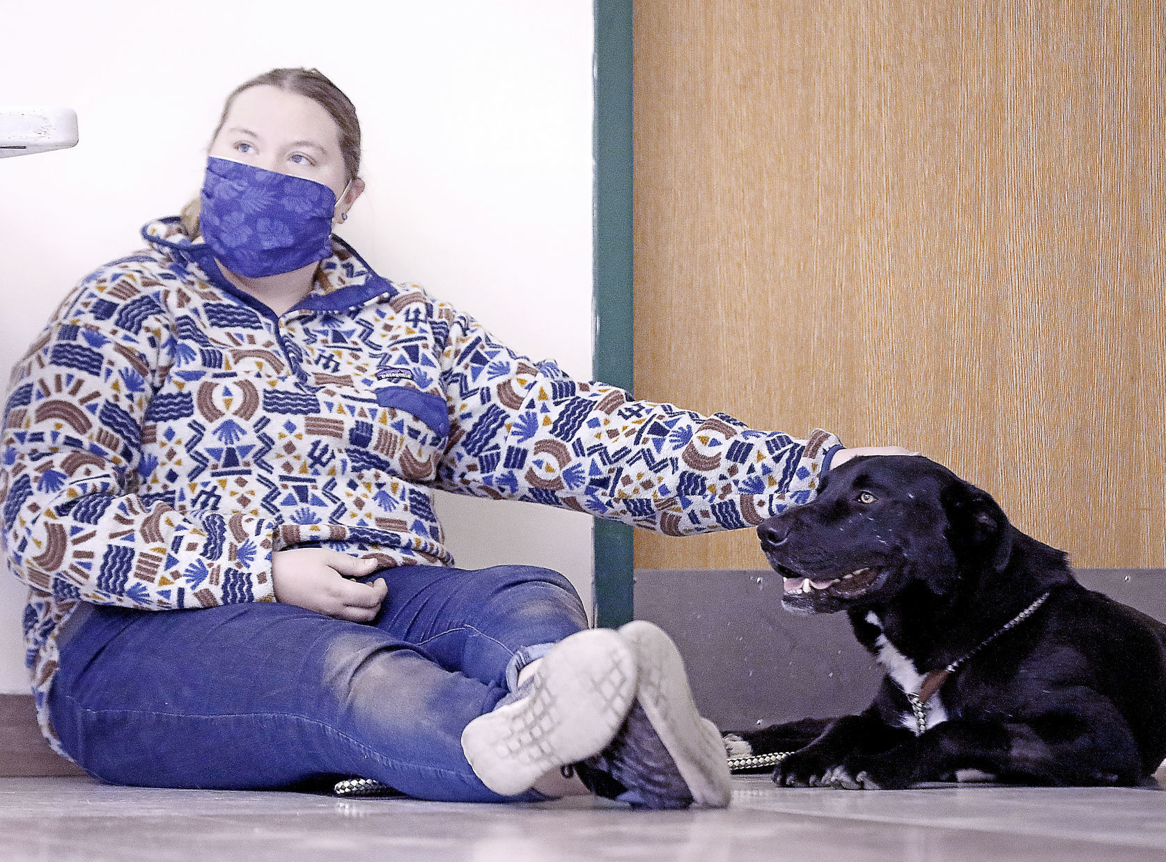 Pet Adoptions